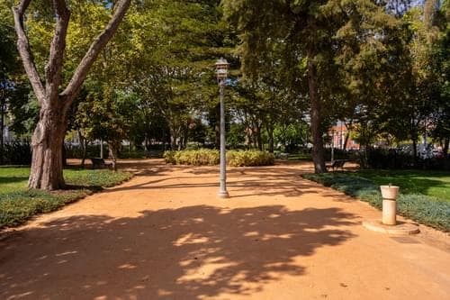 PF37960 - Armazém, Grandola - Imagem 27