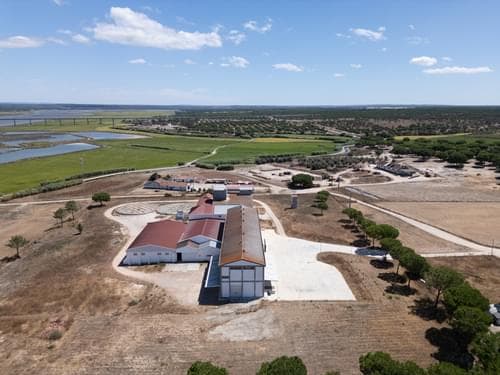 PF37978 - Entrepôt, Álcacer do Sal, Alcacer do Sal - Image 3