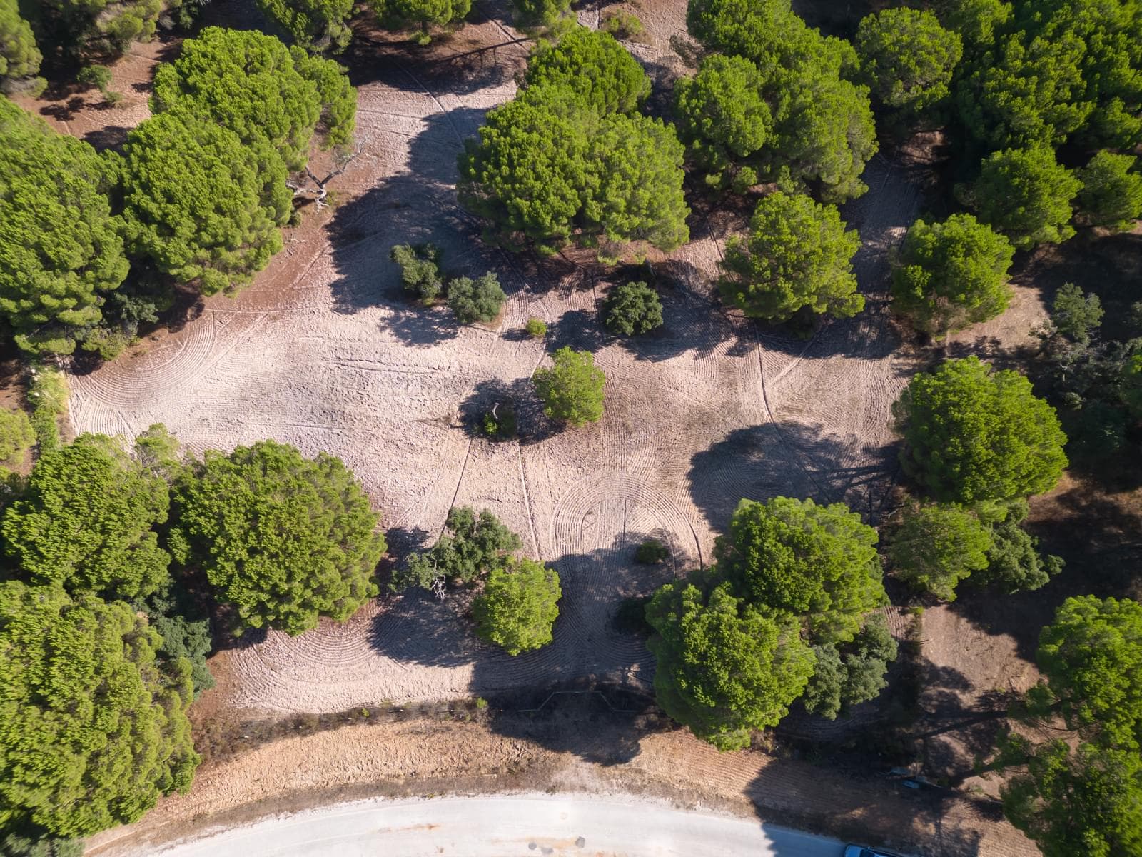Terreno 2.6 ha, Santo Estevão, Benavente - Imagem 10