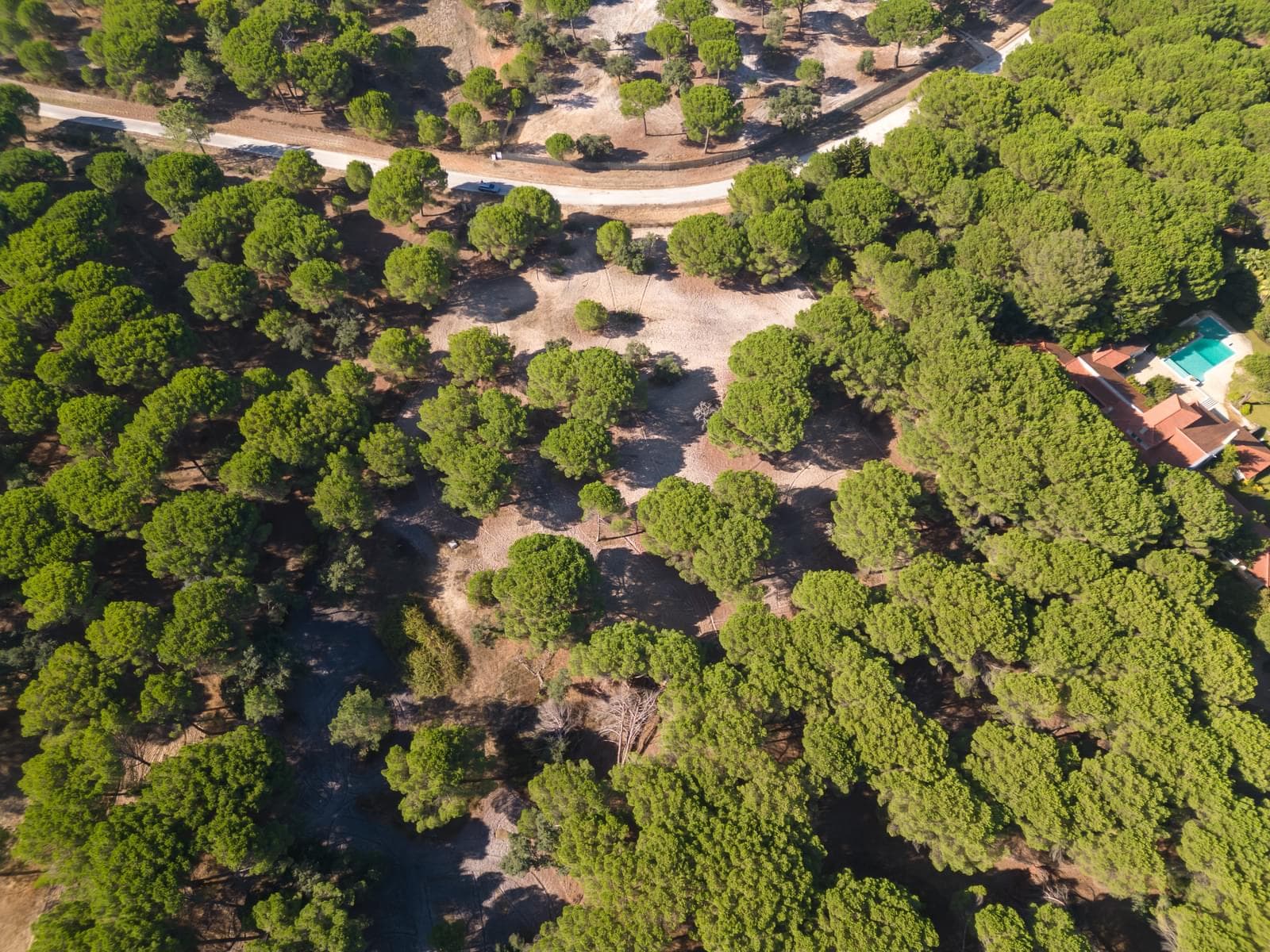 Terreno 2.6 ha, Santo Estevão, Benavente - Imagem 1