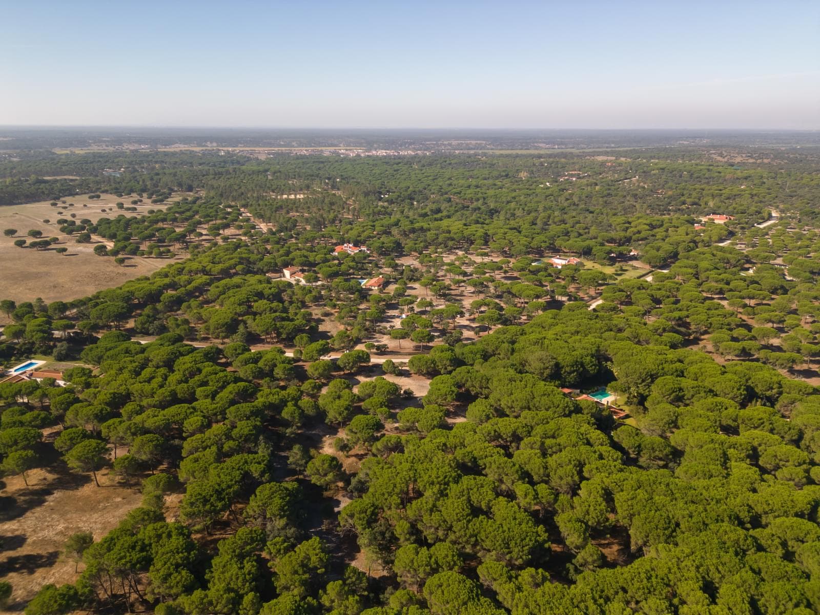 Terreno 2.6 ha, Santo Estevão, Benavente - Imagem 3