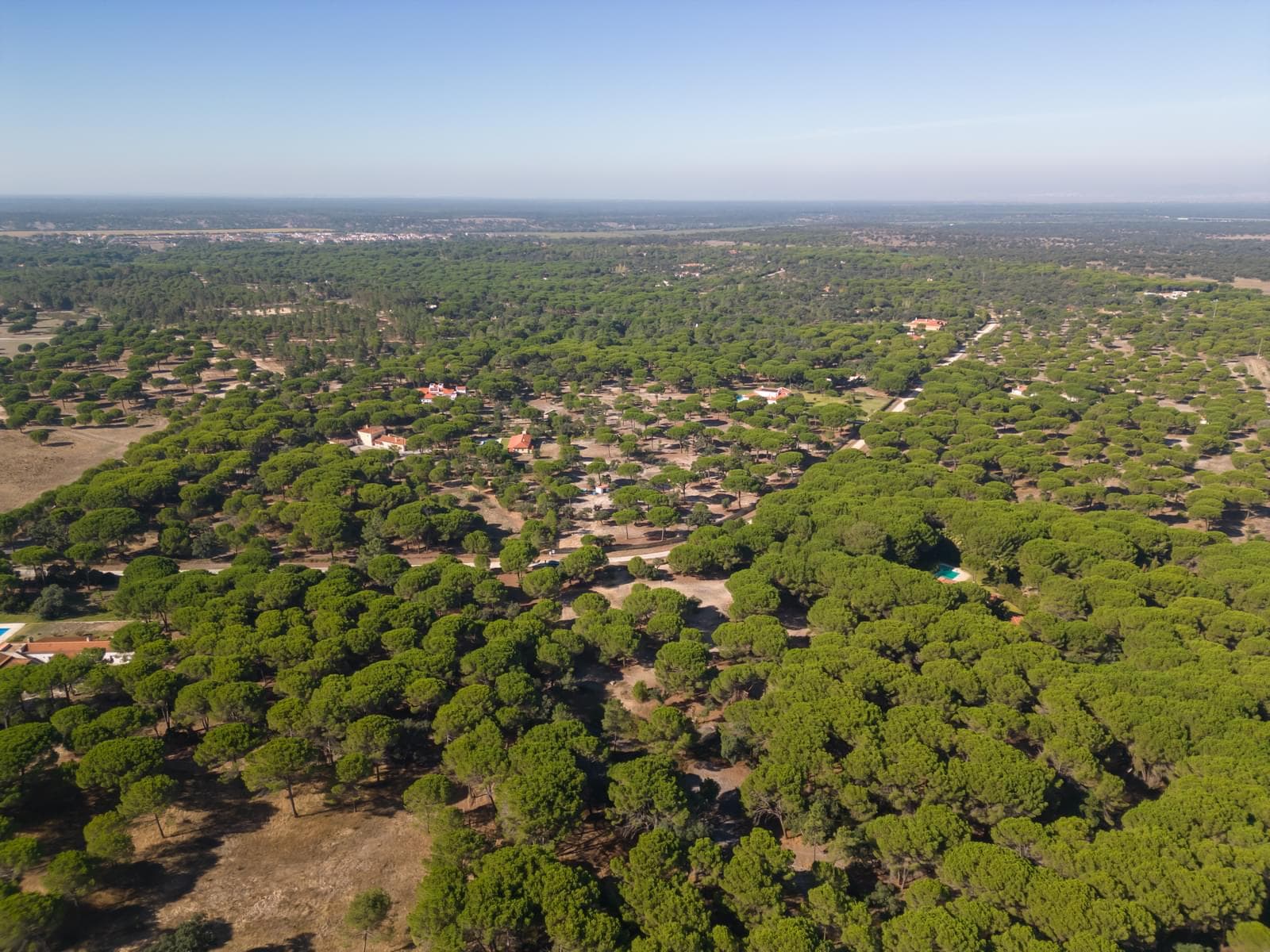 Terreno 2.6 ha, Santo Estevão, Benavente - Imagem 4
