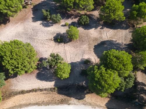 PF37980 - Terreno 2.6 ha, Santo Estevão, Benavente - Imagem 9