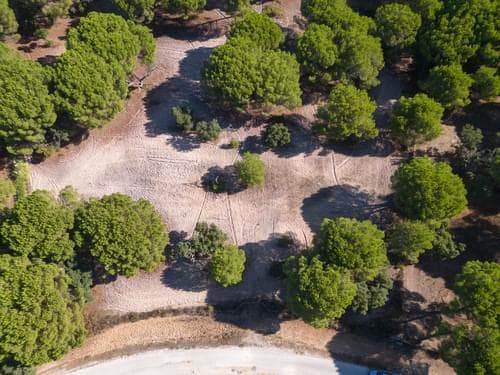 PF37980 - Terreno 2.6 ha, Santo Estevão, Benavente - Imagem 10