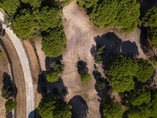 PF37980 - Terreno 2.6 ha, Santo Estevão, Benavente - Imagem 11