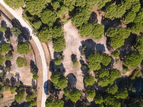 PF37980 - Terreno 2.6 ha, Santo Estevão, Benavente - Imagem 12