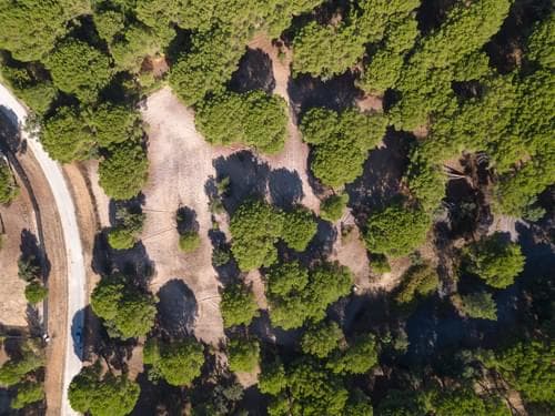 PF37980 - Terreno 2.6 ha, Santo Estevão, Benavente - Imagem 13