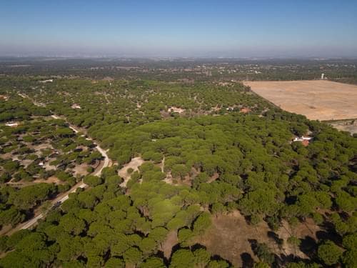 PF37980 - Terreno 2.6 ha, Santo Estevão, Benavente - Imagem 17