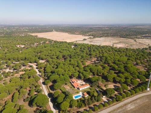 PF37980 - Terreno 2.6 ha, Santo Estevão, Benavente - Imagem 18