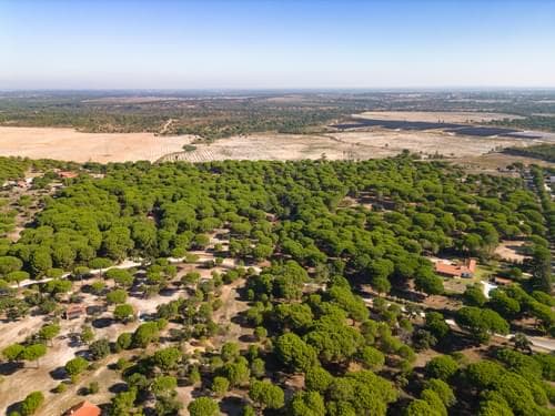 PF37980 - Terreno 2.6 ha, Santo Estevão, Benavente - Imagem 19