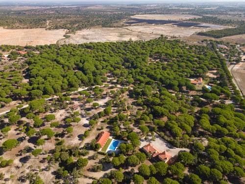 PF37980 - Terreno 2.6 ha, Santo Estevão, Benavente - Imagem 16