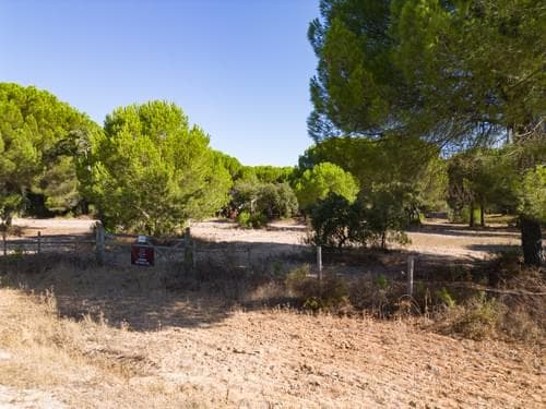 PF37980 - Terreno 2.6 ha, Santo Estevão, Benavente - Imagem 15