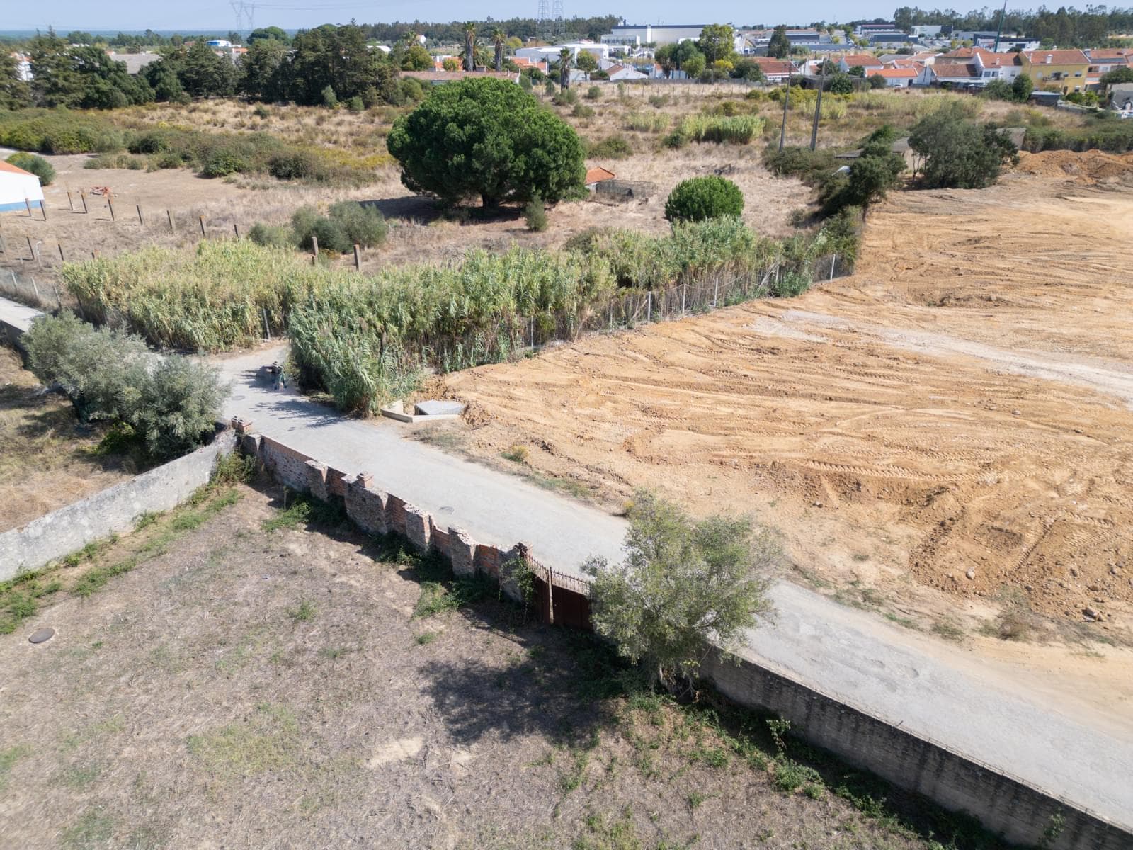 Lote 244 m2, Grandola - Imagem 7