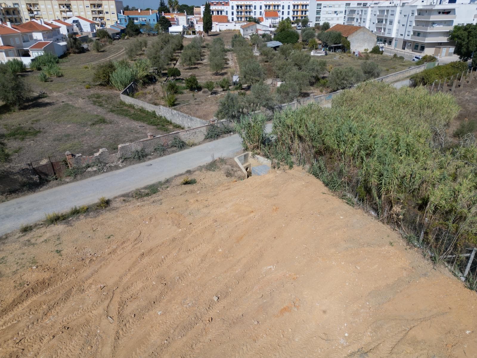 Lote 244 m2, Grandola - Imagem 8