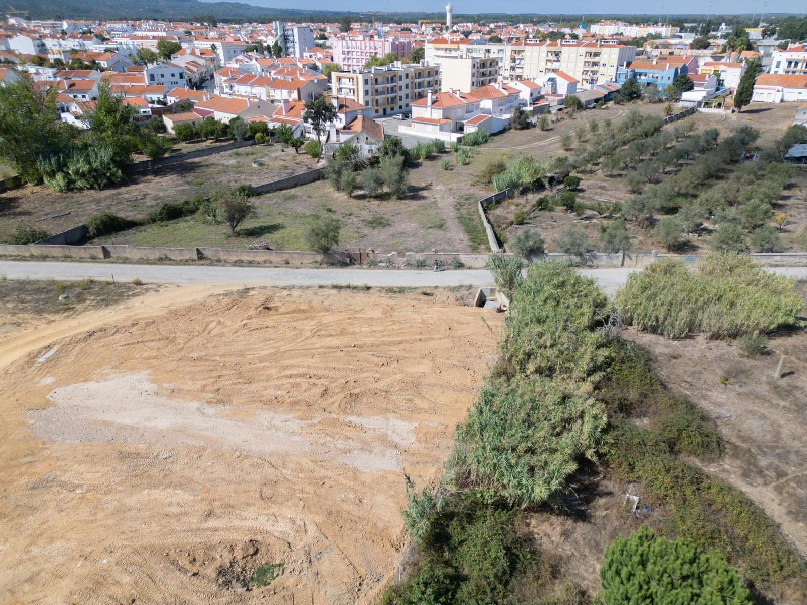 Lote 244 m2, Grandola - Imagem 10