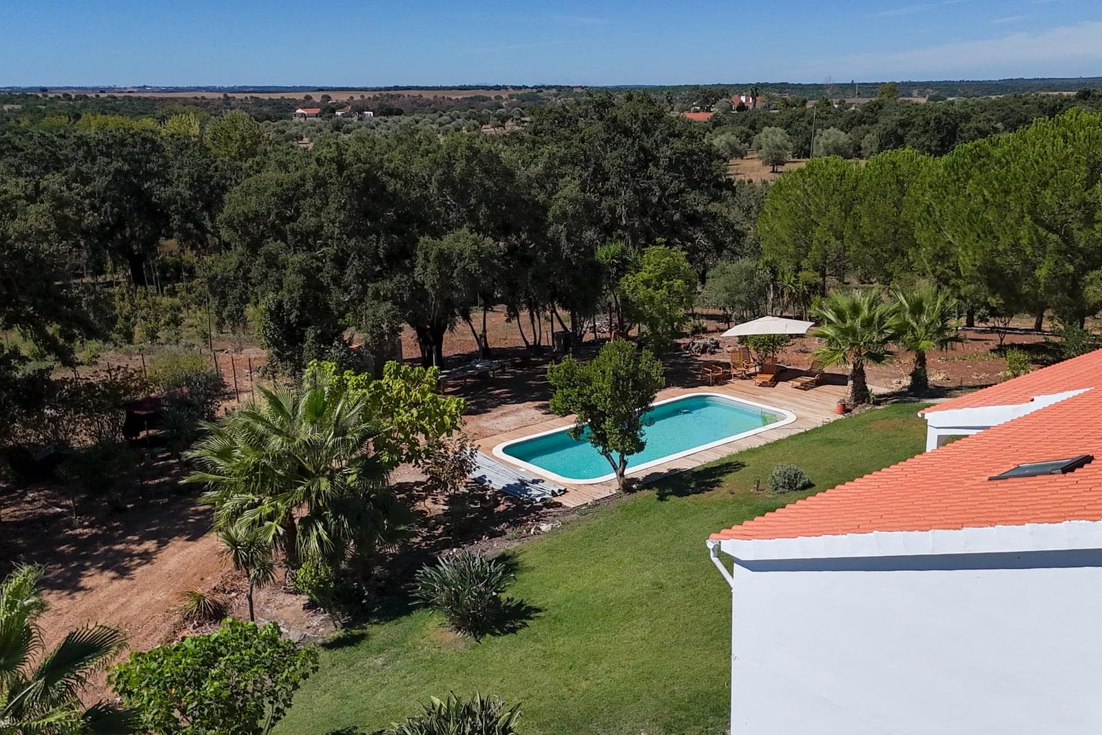 Quinta 9.6 ha, Foros de Vale Figueira, Montemor-o-Novo - Imagem 3