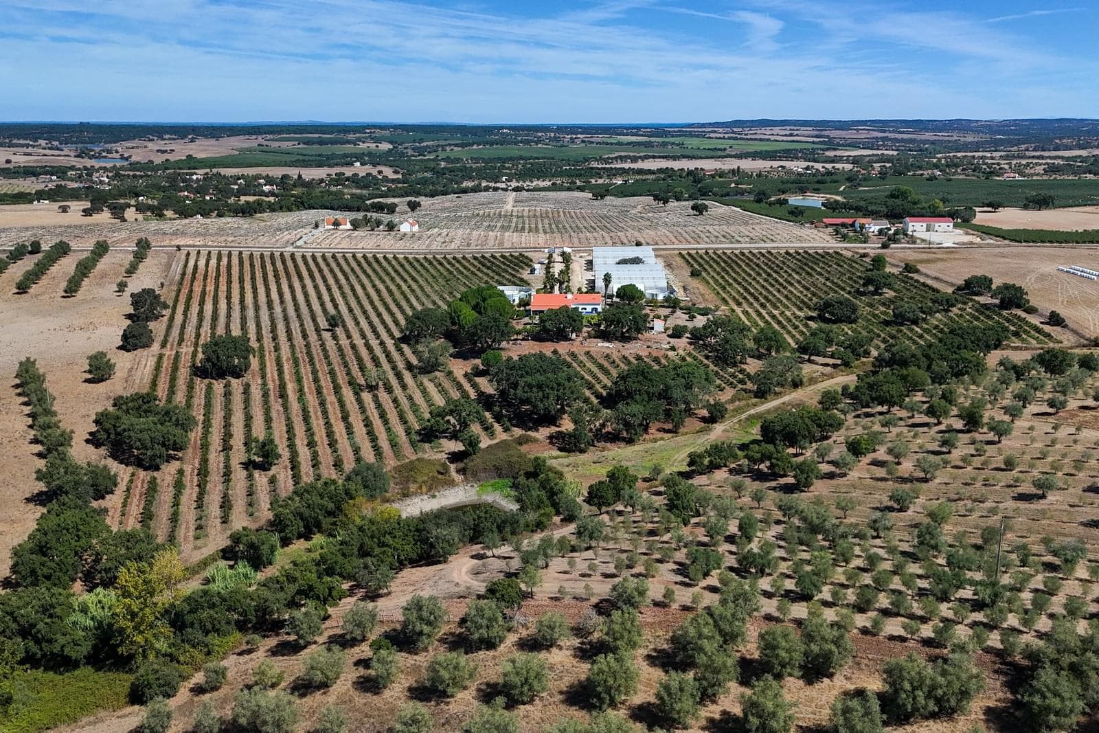 Quinta 9.6 ha, Foros de Vale Figueira, Montemor-o-Novo - Imagem 34