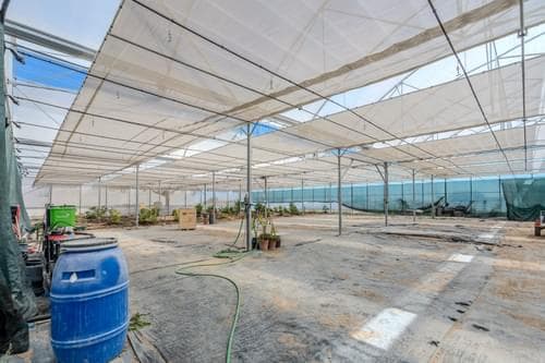 PF38096 - Ferme 9.6 ha, Foros de Vale Figueira, Montemor-o-Novo - Image 42