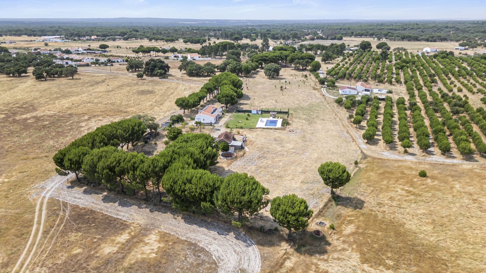 Quintinha 2.2 ha, Grandola - Imagem 33