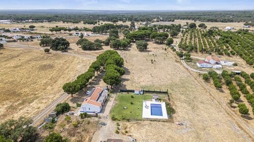 PF38159 - Ferme 2.2 ha, Grandola - Image 34