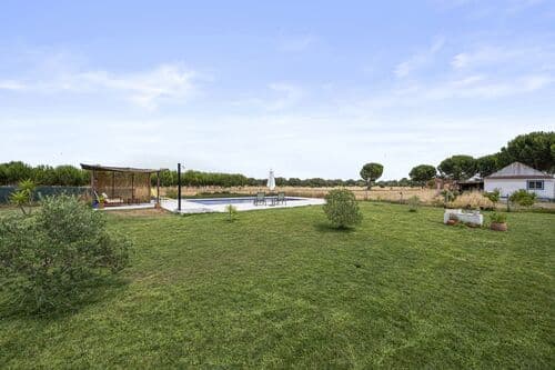 PF38159 - Ferme 2.2 ha, Grandola - Image 32