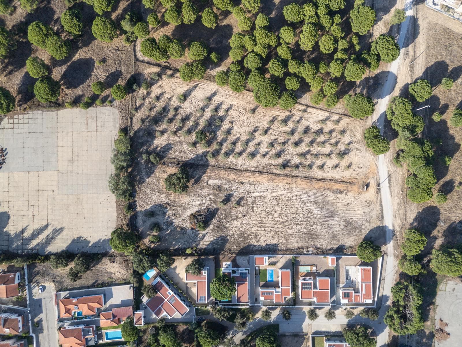 Terreno Misto 1.5 ha, Alcácer do Sal, Alcacer do Sal - Imagem 3