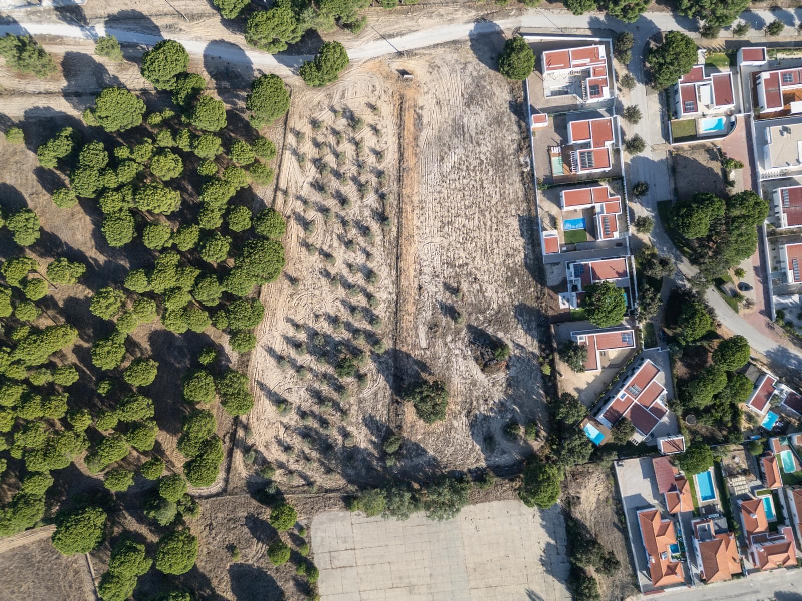Terreno Misto 1.5 ha, Alcácer do Sal, Alcacer do Sal - Imagem 6