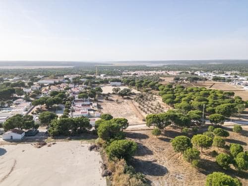 PF38160 - Terreno Misto 1.5 ha, Alcácer do Sal, Alcacer do Sal - Imagem 4