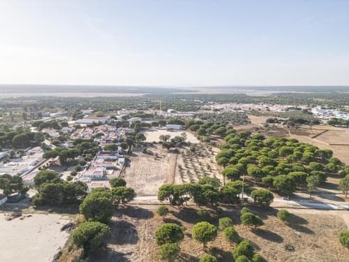 PF38160 - Terreno Misto 1.5 ha, Alcácer do Sal, Alcacer do Sal - Imagem 16