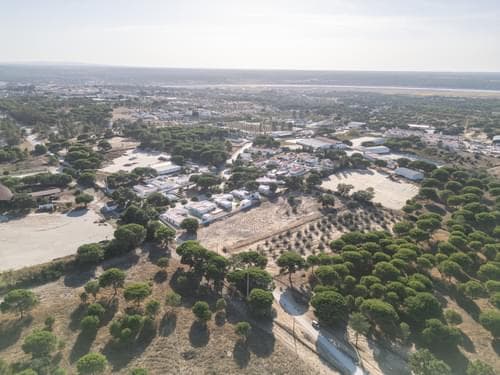 PF38160 - Terreno Misto 1.5 ha, Alcácer do Sal, Alcacer do Sal - Imagem 10
