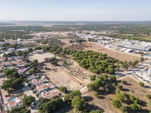 PF38160 - Terreno Misto 1.5 ha, Alcácer do Sal, Alcacer do Sal - Imagem 13