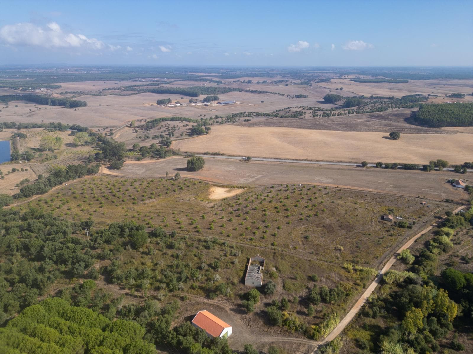 Terreno Misto 5.2 ha, Cercal do Alentejo, Santiago do Cacem - Imagem 3