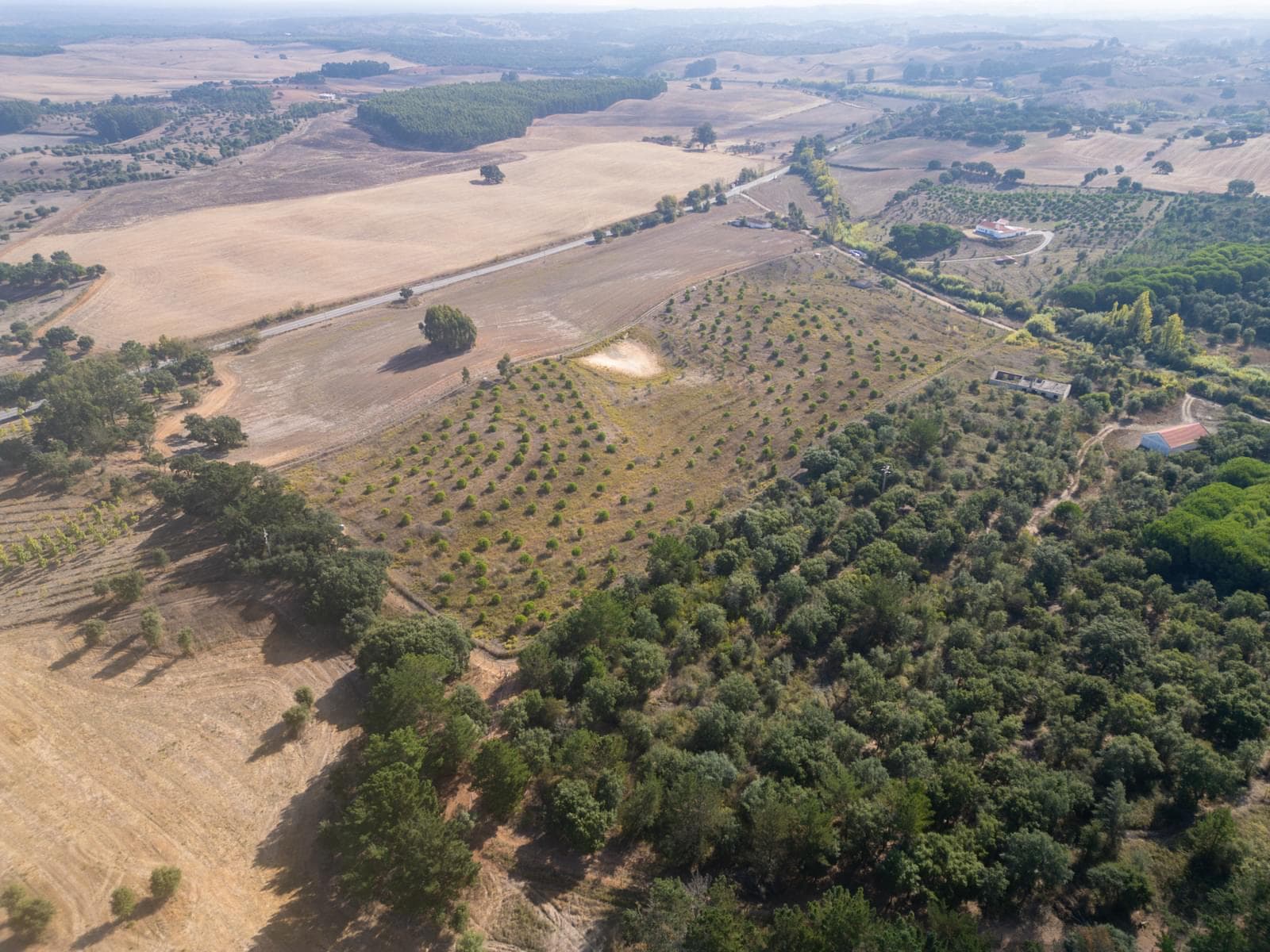 Terreno Misto 5.2 ha, Cercal do Alentejo, Santiago do Cacem - Imagem 58
