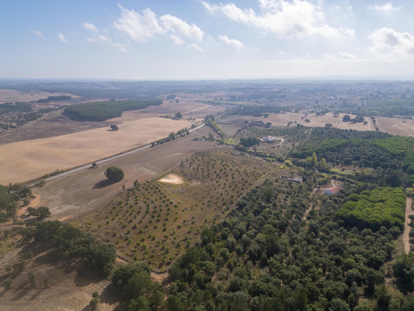 Terreno Misto 5.2 ha, Cercal do Alentejo, Santiago do Cacem - Imagem 60