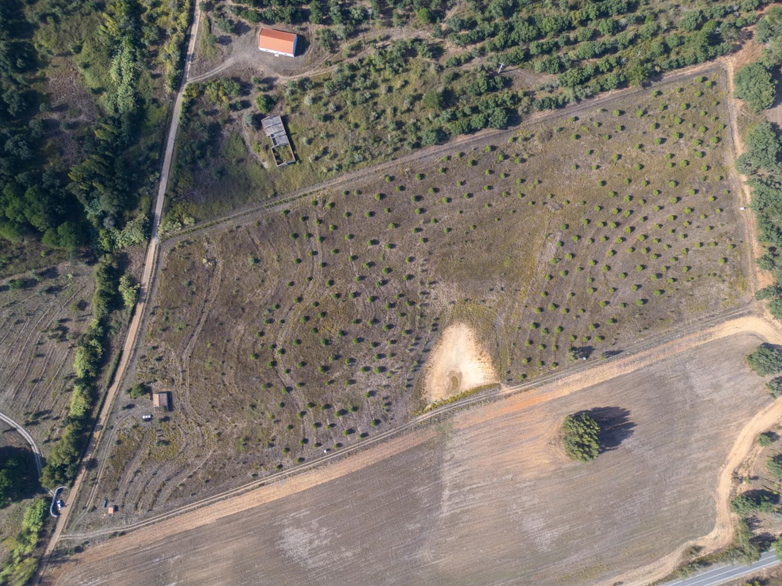 Terreno Misto 5.2 ha, Cercal do Alentejo, Santiago do Cacem - Imagem 52