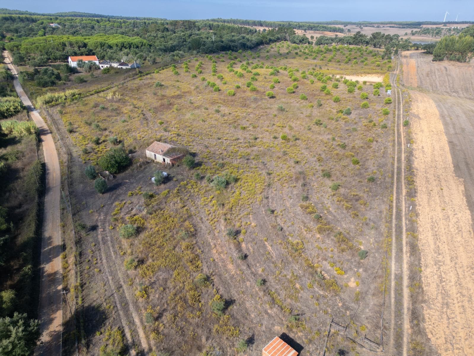 Terreno Misto 5.2 ha, Cercal do Alentejo, Santiago do Cacem - Imagem 54