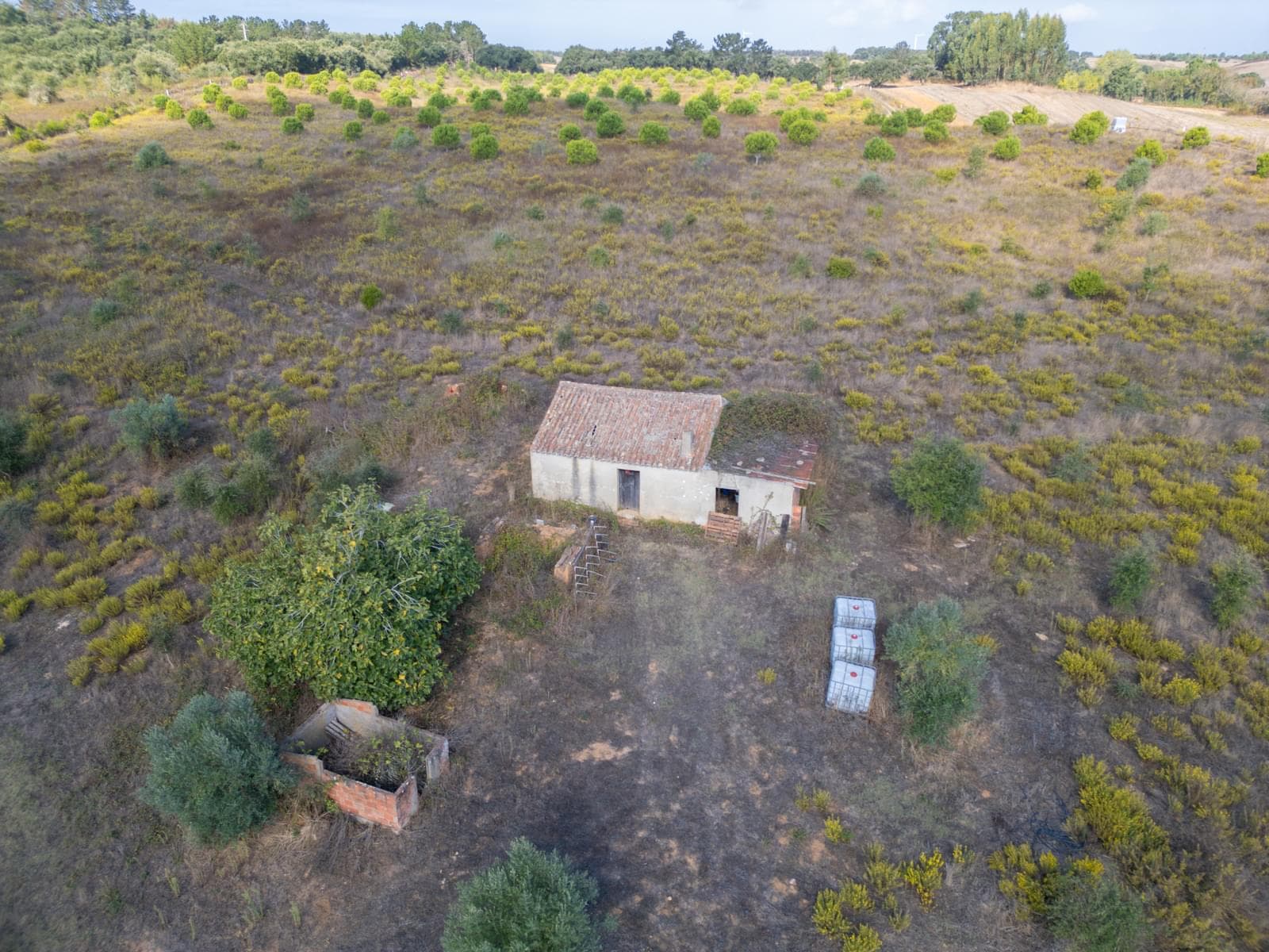 Terreno Misto 5.2 ha, Cercal do Alentejo, Santiago do Cacem - Imagem 64