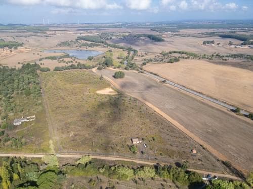 PF38161 - Terreno Misto 5.2 ha, Cercal do Alentejo, Santiago do Cacem - Imagem 7