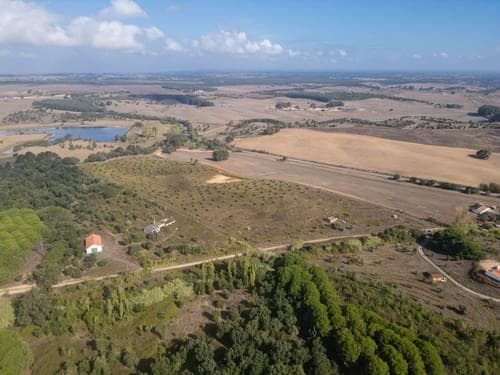 PF38161 - Terreno Misto 5.2 ha, Cercal do Alentejo, Santiago do Cacem - Imagem 6