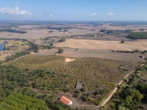 PF38161 - Terreno Misto 5.2 ha, Cercal do Alentejo, Santiago do Cacem - Imagem 3