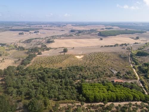 PF38161 - Terreno Misto 5.2 ha, Cercal do Alentejo, Santiago do Cacem - Imagem 11