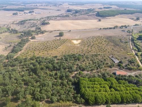 PF38161 - Terreno Misto 5.2 ha, Cercal do Alentejo, Santiago do Cacem - Imagem 4