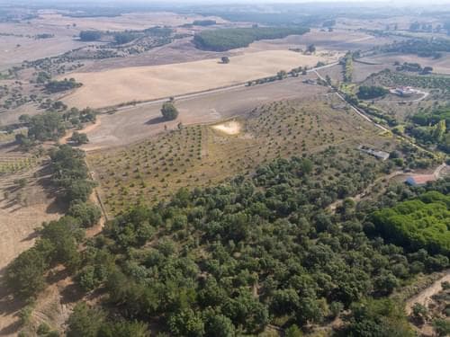 PF38161 - Terreno Misto 5.2 ha, Cercal do Alentejo, Santiago do Cacem - Imagem 62