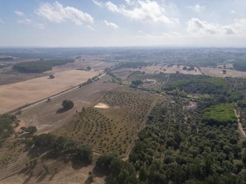 PF38161 - Terreno Misto 5.2 ha, Cercal do Alentejo, Santiago do Cacem - Imagem 55