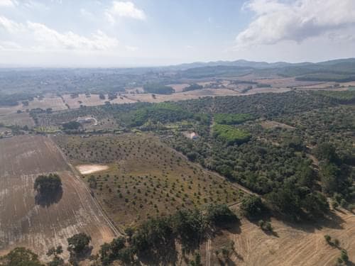 PF38161 - Terreno Misto 5.2 ha, Cercal do Alentejo, Santiago do Cacem - Imagem 63