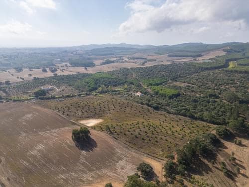 PF38161 - Terreno Misto 5.2 ha, Cercal do Alentejo, Santiago do Cacem - Imagem 56