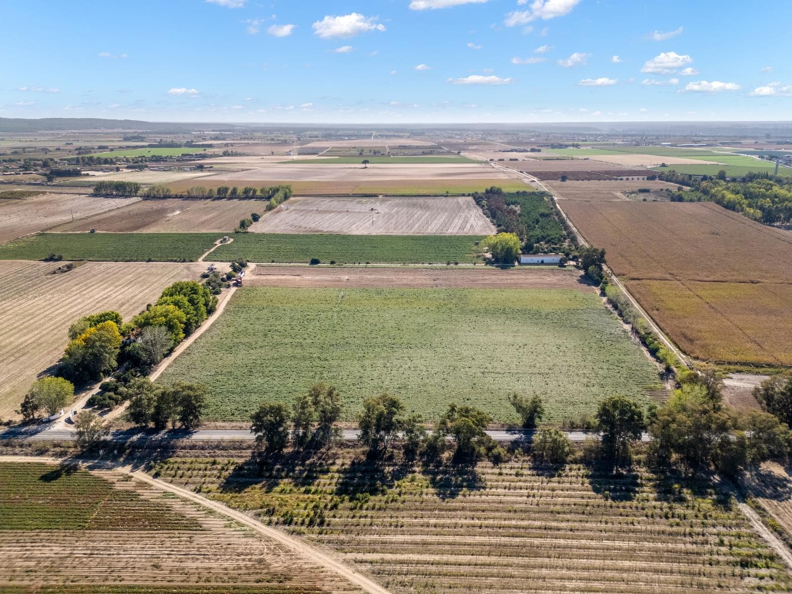 Quinta 24.8 ha, Almeirim - Imagem 9