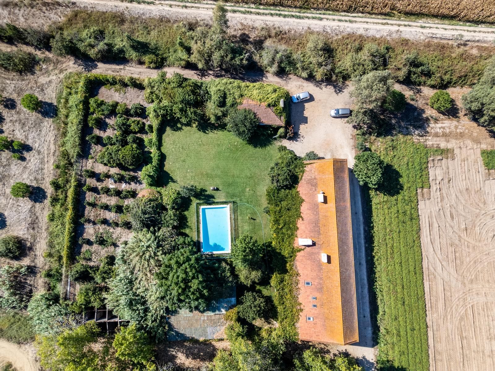 Quinta 24.8 ha, Almeirim - Imagem 2