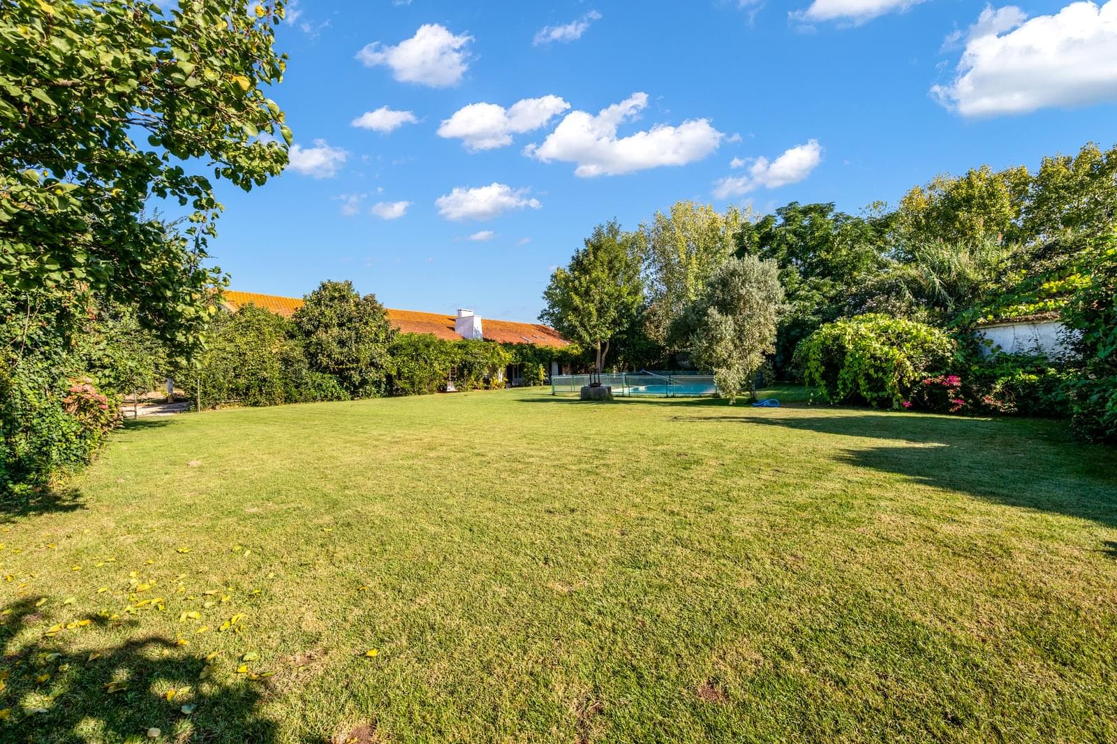 Quinta 24.8 ha, Almeirim - Imagem 7