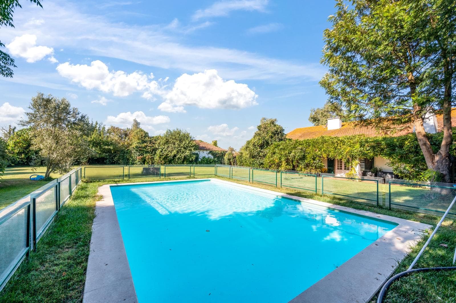 Quinta 24.8 ha, Almeirim - Imagem 4